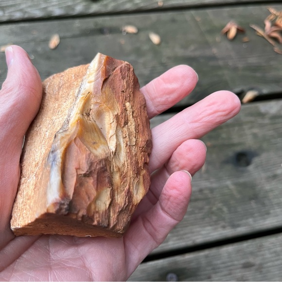 Petrified Wood 2 Piece Set - Picture 10 of 16